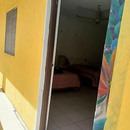 Tucán Playa del Carmen Exterior foto