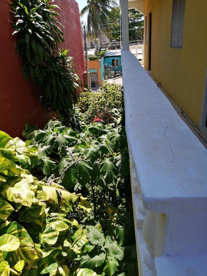 Tucán Playa del Carmen Exterior foto