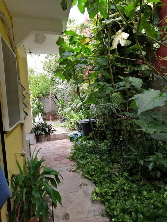 Tucán Playa del Carmen Exterior foto