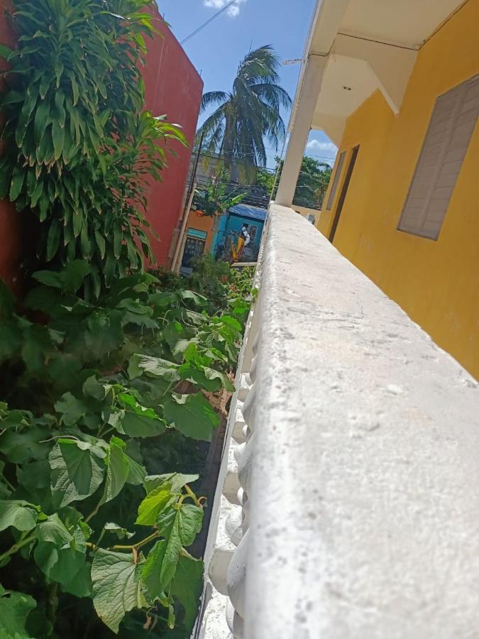 Tucán Playa del Carmen Exterior foto